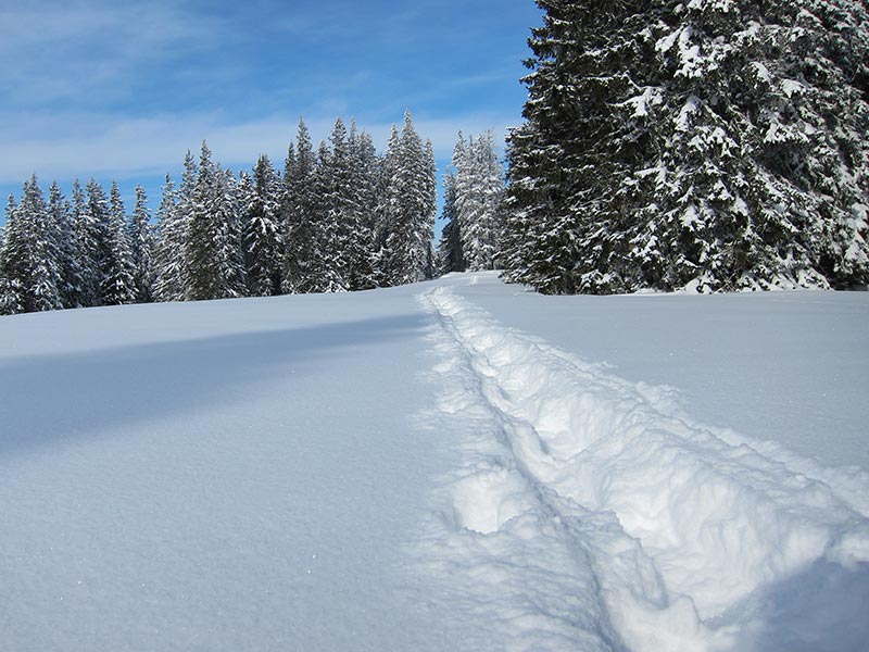 Schneeschuhspur